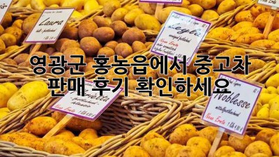 영광군 홍농읍에서 중고차 판매 후기 확인하세요!