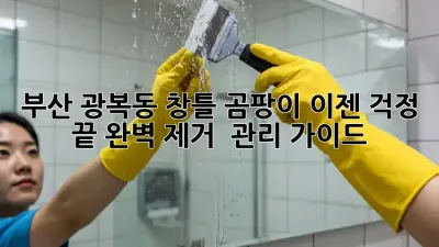 부산 광복동 창틀 곰팡이, 이젠 걱정 끝! 완벽 제거 & 관리 가이드
