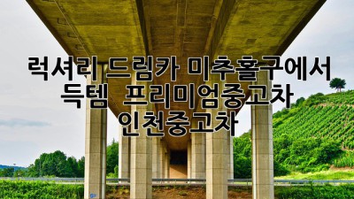 럭셔리 드림카, 미추홀구에서 득템?! 🚗💨 #프리미엄중고차 #인천중고차